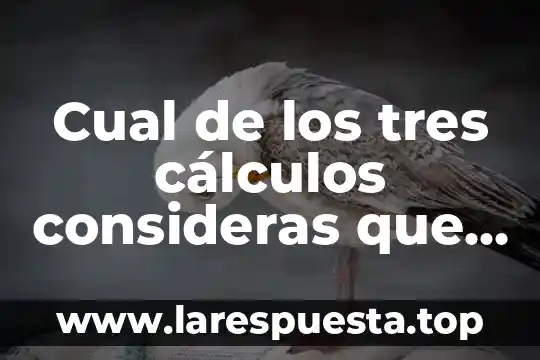 Cual de los tres cálculos consideras que es el más rápido