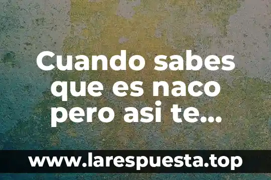Que es lo mas que te gusta de mi 6 Cuando sabes que es naco pero asi te gusta meme