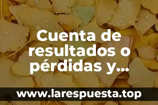 Que es lo que lleva los resultados de un proyecto 3 Cuenta de resultados o pérdidas y ganancias que es