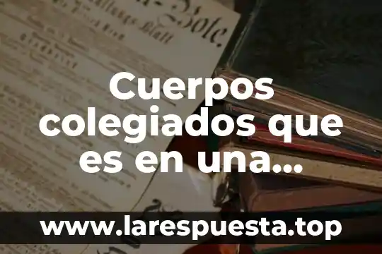 Cuerpos colegiados que es en una escuela significado