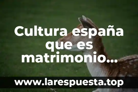 Alazrraki y asociados que es 8 Cultura españa que es matrimonio cultural