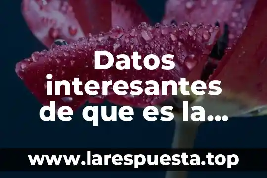 Ley del patrimonio natural y de la biodiversidad que es 4 Datos interesantes de que es la biodiversidad