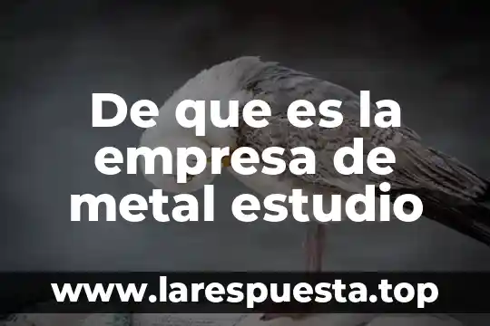 Que es una empresa y como funciona 5 De que es la empresa de metal estudio