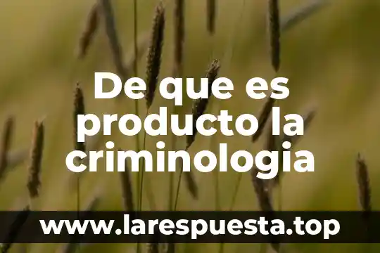 Que es embalar un producto 3 De que es producto la criminologia