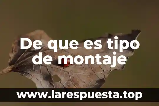 Que es el tipo de montaje ruso 5 De que es tipo de montaje