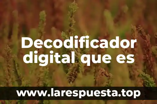 Decodificador digital que es