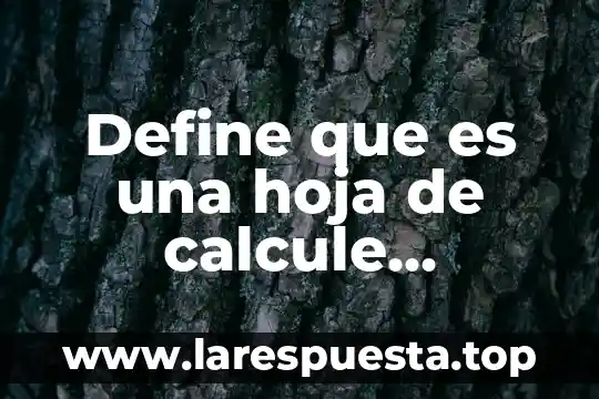 Define que es una hoja de calcule electronica