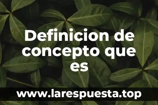 Definicion de concepto que es