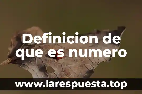 Definicion de que es numero