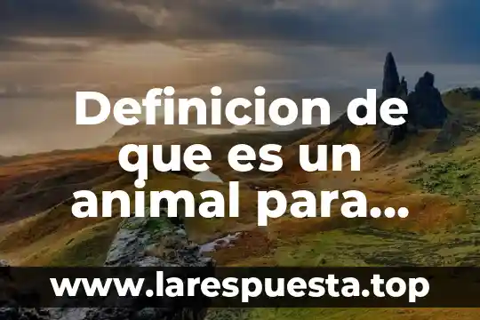 Definicion de que es un animal para niños de prescolar