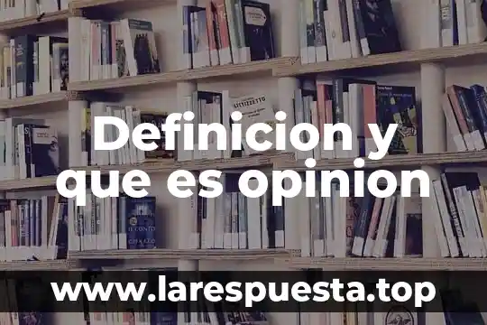 Qué es un nivel definición 5 Definicion y que es opinion