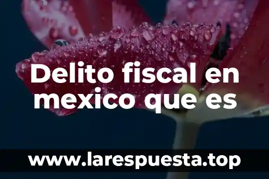 Qué es lo que más compran los hoteles en México 7 Delito fiscal en mexico que es
