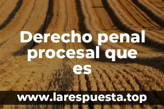 Que es una historia procesal 7 Derecho penal procesal que es
