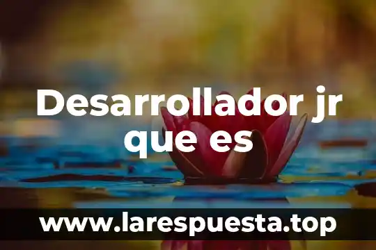 Que es un desarrollador android 8 Desarrollador jr que es