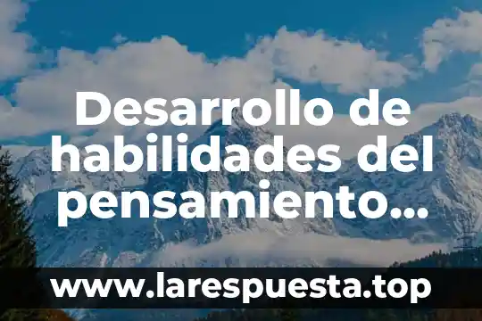 Desarrollo de habilidades del pensamiento que es búsqueda exhaustiva