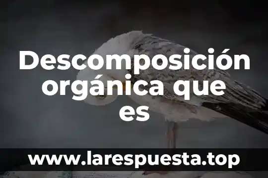 Agujero estenopeico que es 7 Descomposición orgánica que es