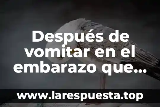 Que es bueno para quitar los barros 4 Después de vomitar en el embarazo que es bueno comer