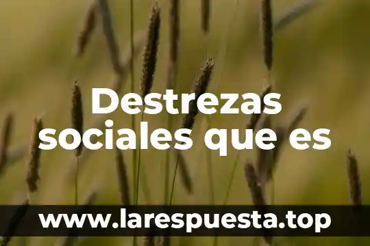 Destrezas sociales que es
