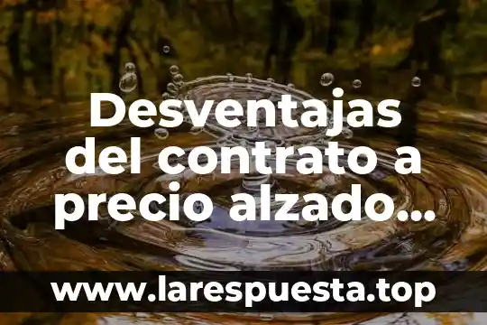 Que es fijacion de precio comercial 7 Desventajas del contrato a precio alzado que es