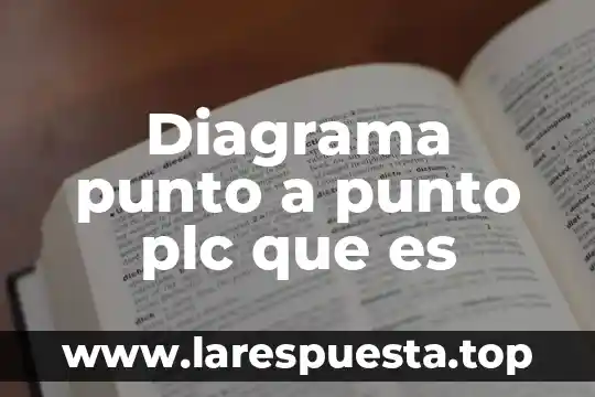 Diagrama punto a punto plc que es