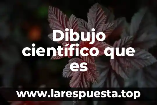 Dibujo científico que es