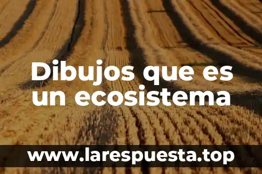 Que es sobrepeso dibujos 5 Dibujos que es un ecosistema