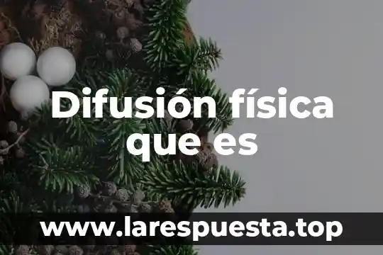 Qué es un mecanismo de difusión 3 Difusión física que es