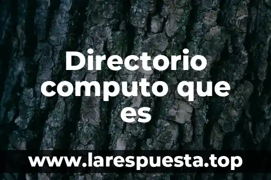 Que es un directorio para niños 3 Directorio computo que es