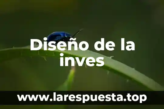 Qué es prototipado en diseño de servicios 3 Diseño de la inves