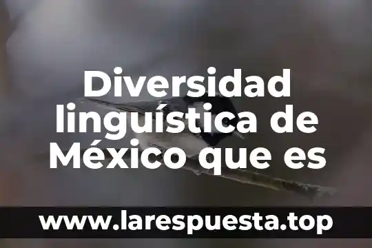 Diversidad linguística de México que es
