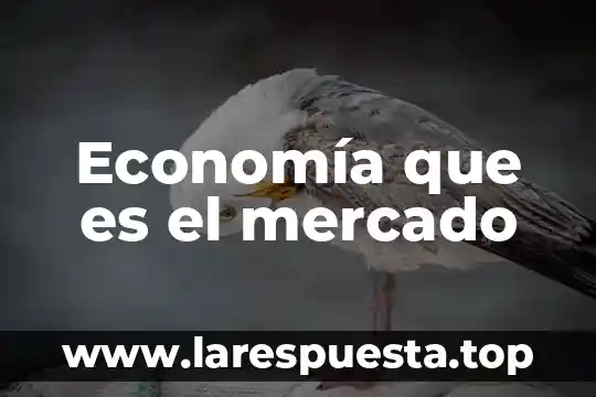 Que es la economia de centroamerica 5 Economía que es el mercado