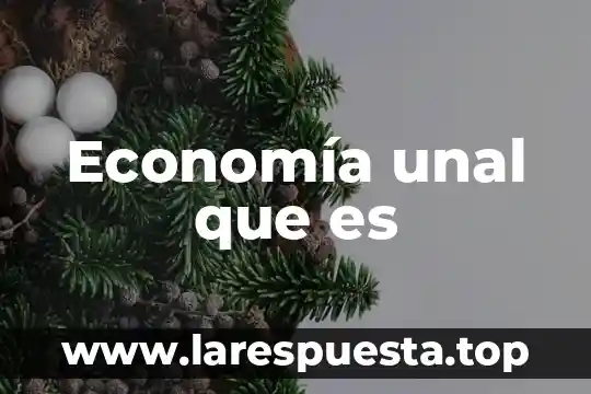 Economía unal que es