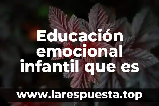 Que es una estancia infantil definicion 6 Educación emocional infantil que es