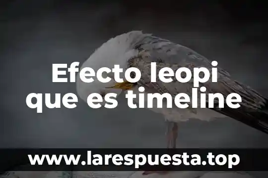Qué es un efecto paradojal 4 Efecto leopi que es timeline