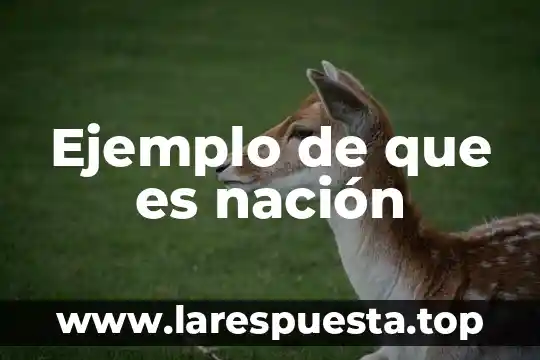 Ejemplo de que es nación