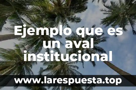Que es evaluacion institucional y por niveles 8 Ejemplo que es un aval institucional