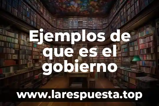 Ejemplos de que es el gobierno