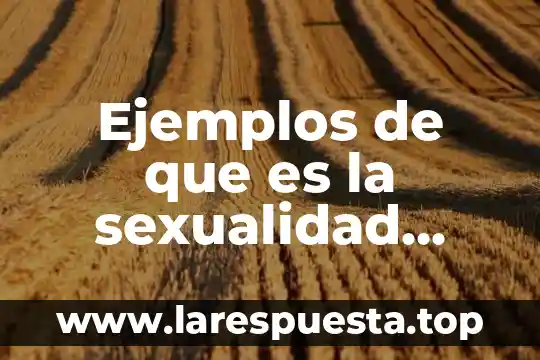 Ejemplos de que es la sexualidad responsable