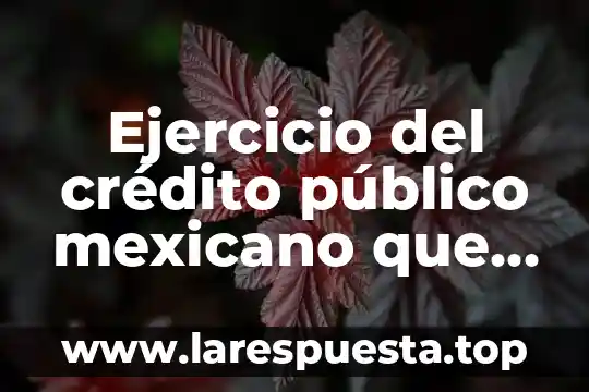 Que es ejercicio de comercio 6 Ejercicio del crédito público mexicano que es