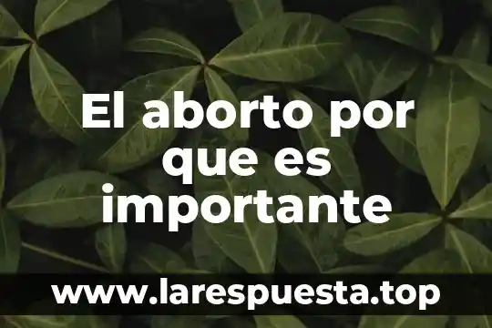El aborto por que es importante