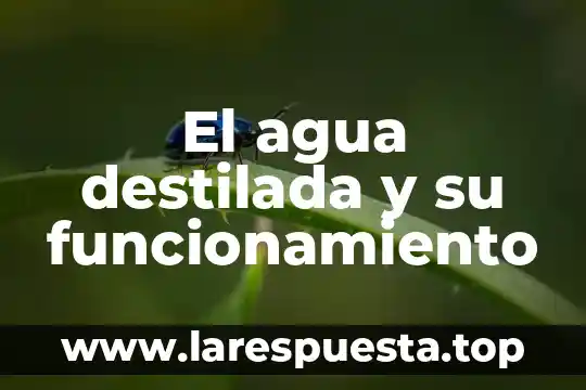 El agua destilada y su funcionamiento