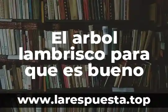 El arbol lambrisco para que es bueno
