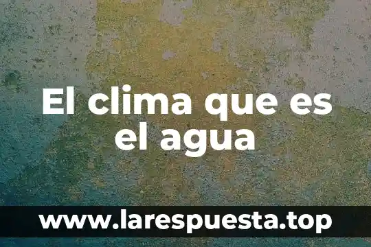 Por que es importante el clima laboral en una empresa 3 El clima que es el agua