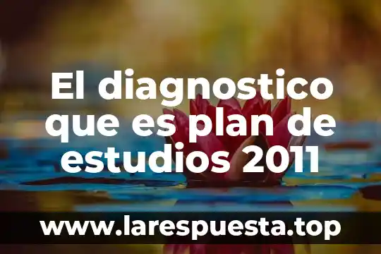 Que es plan de inventario 6 El diagnostico que es plan de estudios 2011