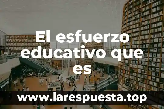 Reingreso educativo que es 8 El esfuerzo educativo que es