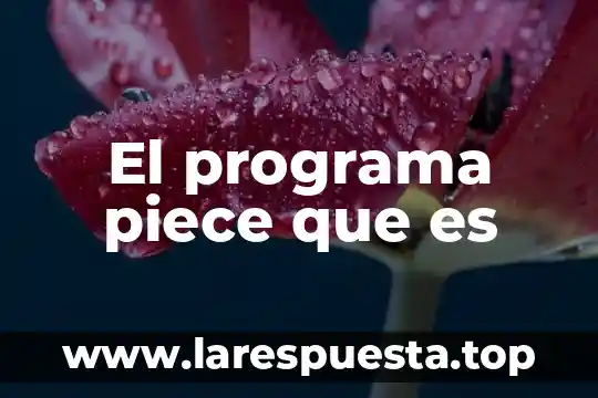 Que es el programa de ingesta 7 El programa piece que es