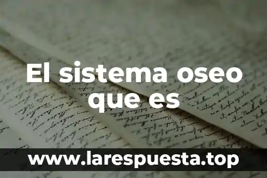 El sistema oseo que es
