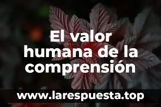 Epidermis humana que es 6 El valor humana de la comprensión