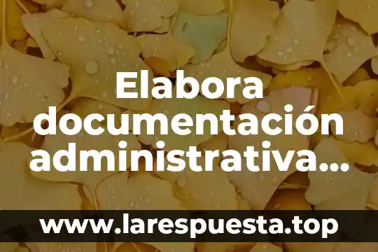 Que es el alcance en una auditoria administrativa 4 Elabora documentación administrativa que es