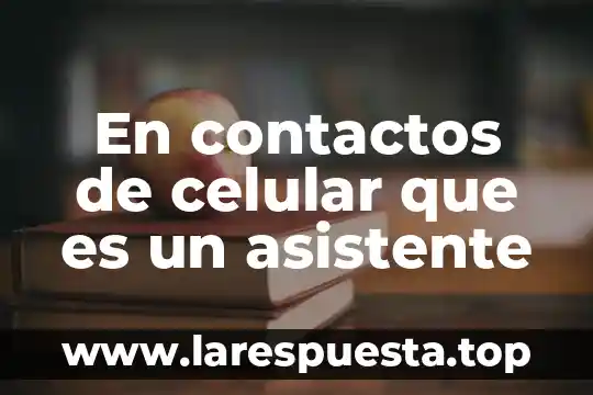 Qué es contactos los más utilizados 4 En contactos de celular que es un asistente